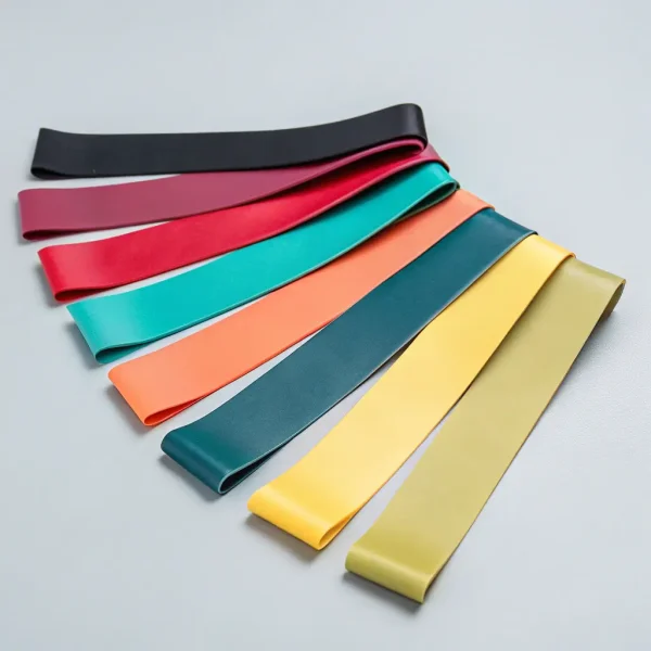 Pro Resistance Bands Set